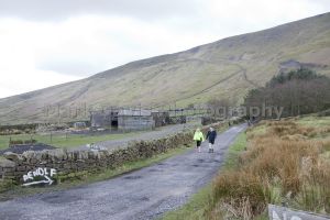 barley pendle hill 2.jpg